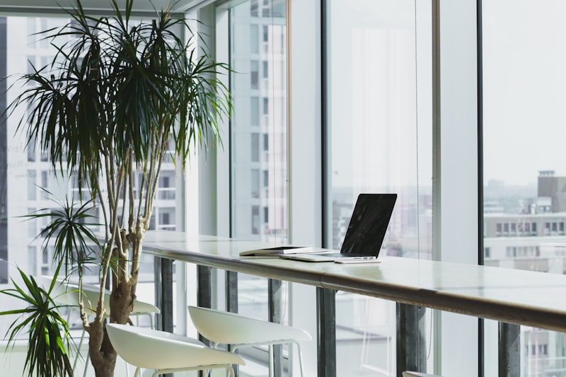 How Website Development Melbourne Helps Businesses Grow